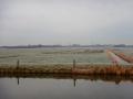 DSCN4189