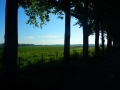 DSCN4888
