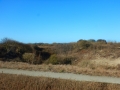 DSCN4182