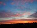 DSCN3714