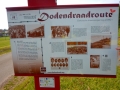 DSCN5218